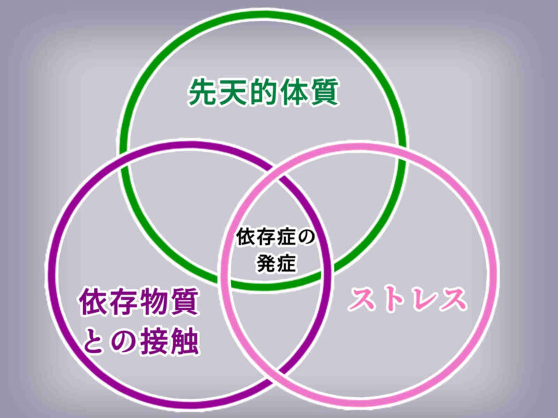 依存症は先天的体質、依存しやすい物質、ストレスという3つの要因が重なった時に発症原因となりやすい